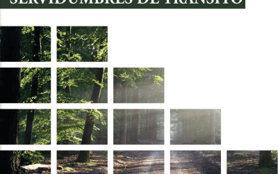 Nuestro Blog Jurídico, Pronunciamiento de la Corte Constitucional sobre la Servidumbre de tránsito o de paso, Blog Derecho Civil