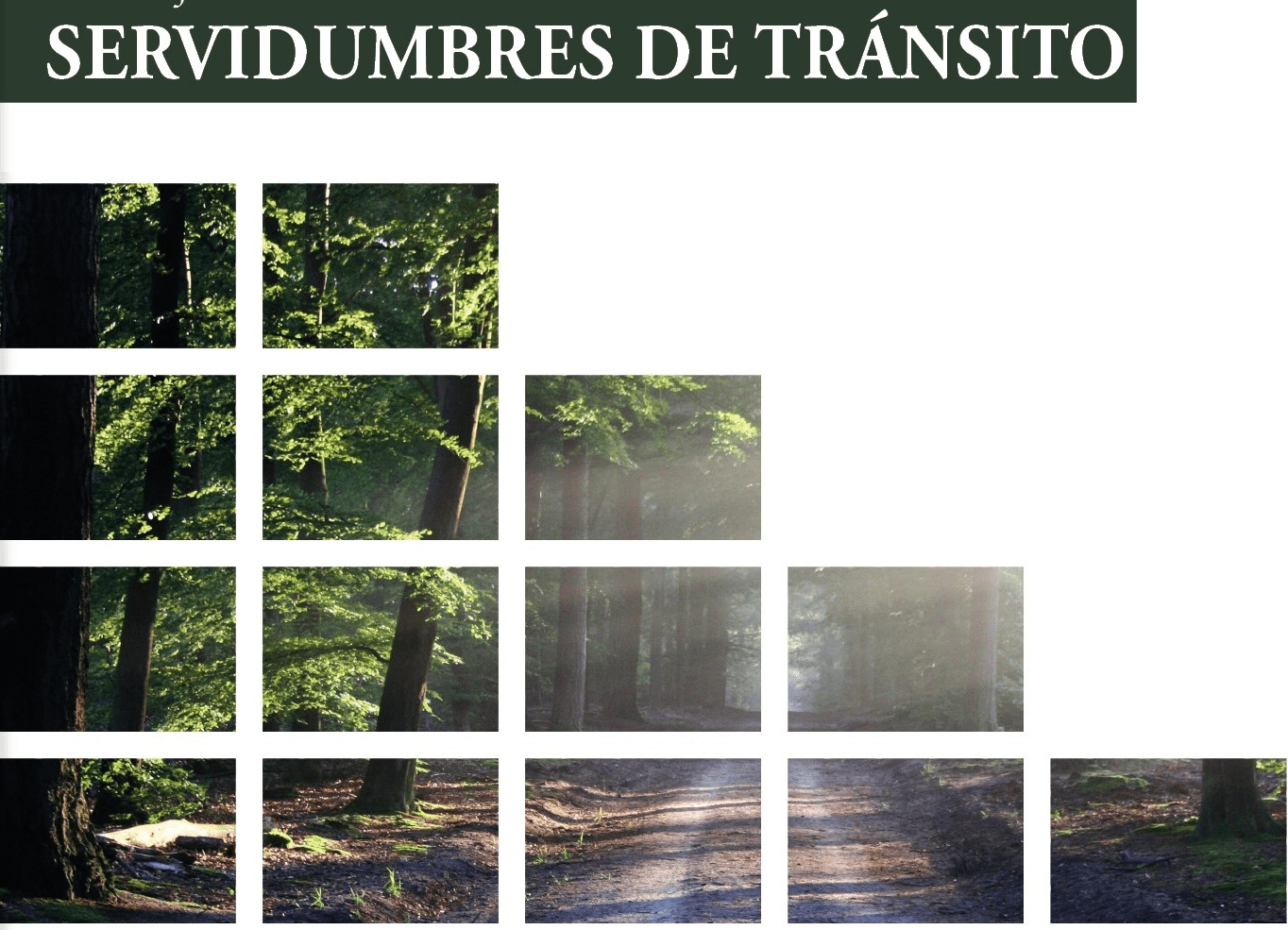 Nuestro Blog Jurídico, Pronunciamiento de la Corte Constitucional sobre la Servidumbre de tránsito o de paso, Blog Derecho Civil