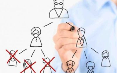 Partición del patrimonio en vida